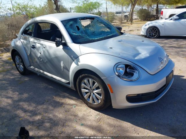 2013 VOLKSWAGEN BEETLE 3VWFP7AT6DM669039