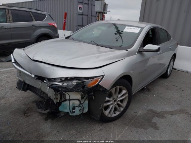 2019 CHEVROLET MALIBU 1G1ZD5ST9KF164324 Photo 1