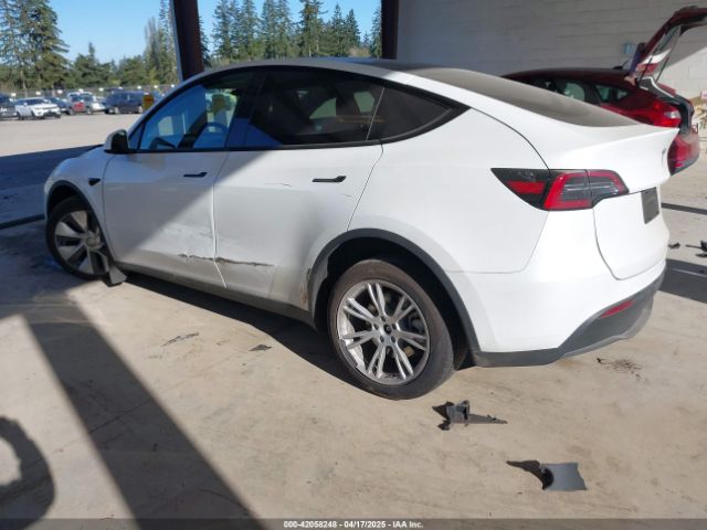 2024 TESLA MODEL Y 7SAYGAEEXRF988561 Photo 2