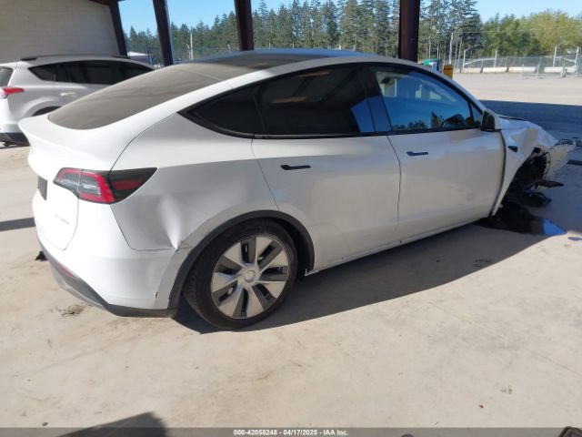 2024 TESLA MODEL Y 7SAYGAEEXRF988561 Photo 3