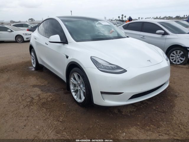 2021 TESLA MODEL Y 5YJYGDEE1MF094357