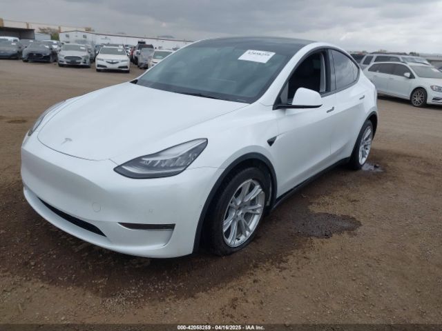 2021 TESLA MODEL Y 5YJYGDEE1MF094357 Photo 1