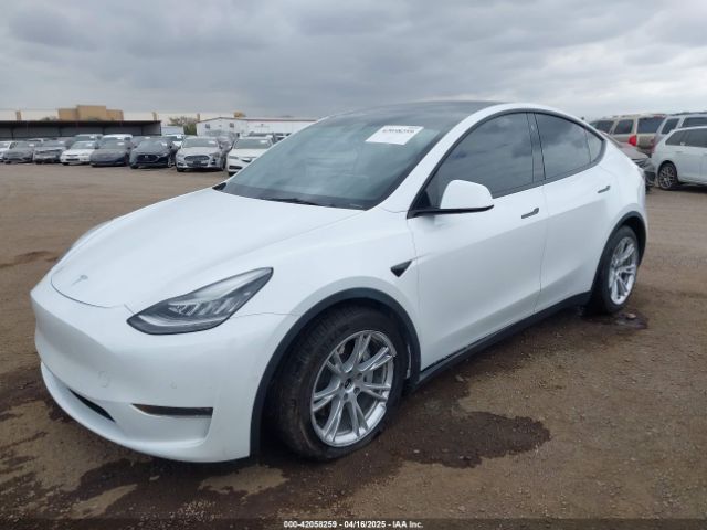 2021 TESLA MODEL Y 5YJYGDEE1MF094357 Photo 5