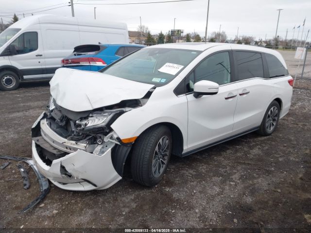 5FNRL6H71MB039822 Honda Odyssey Ex-l