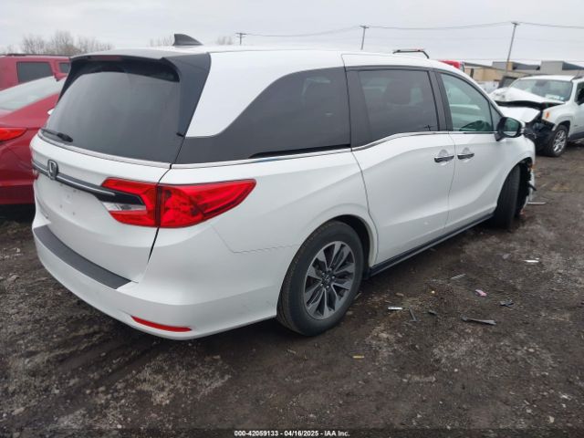 5FNRL6H71MB039822 Honda Odyssey Ex-l