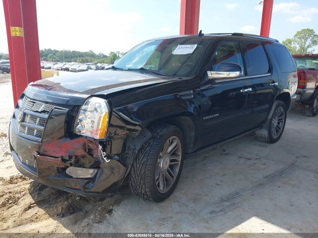 2013 CADILLAC ESCALADE 1GYS3CEF1DR143453 Photo 1