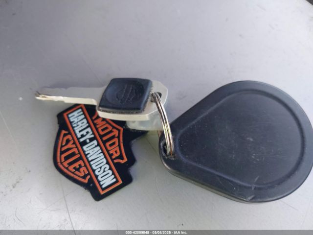 2022 HARLEY-DAVIDSON FXLRS 1HD1YWZ1XNB059644 Photo 10
