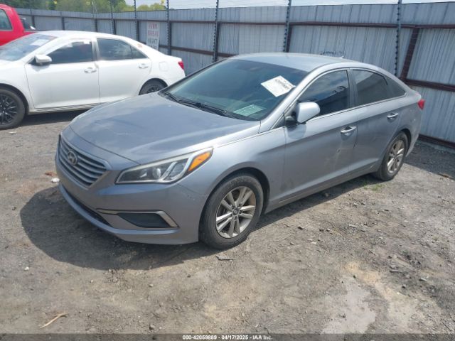 5NPE24AF1HH443556 Hyundai Sonata