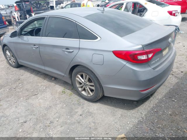 5NPE24AF1HH443556 Hyundai Sonata