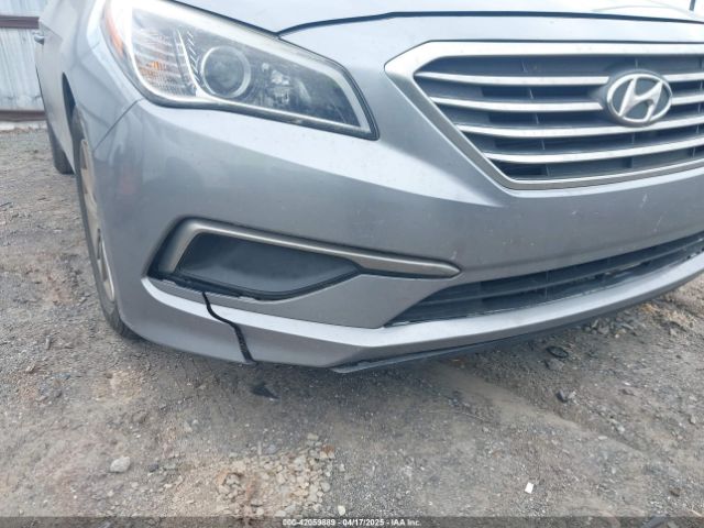 5NPE24AF1HH443556 Hyundai Sonata