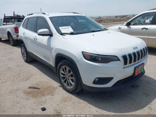 2019 JEEP CHEROKEE 1C4PJLLBXKD220221