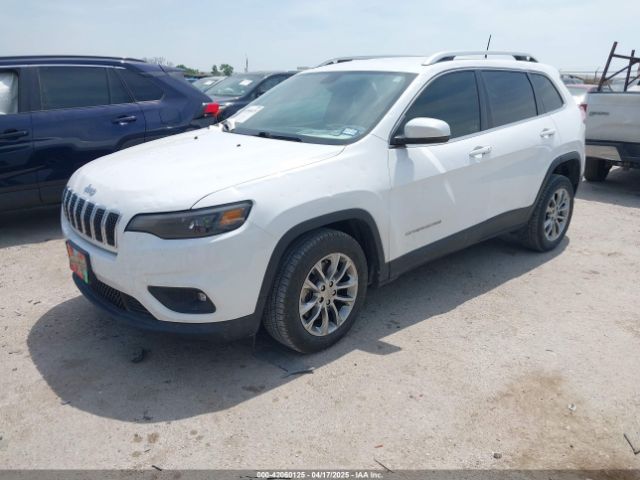 2019 JEEP CHEROKEE 1C4PJLLBXKD220221 Photo 1