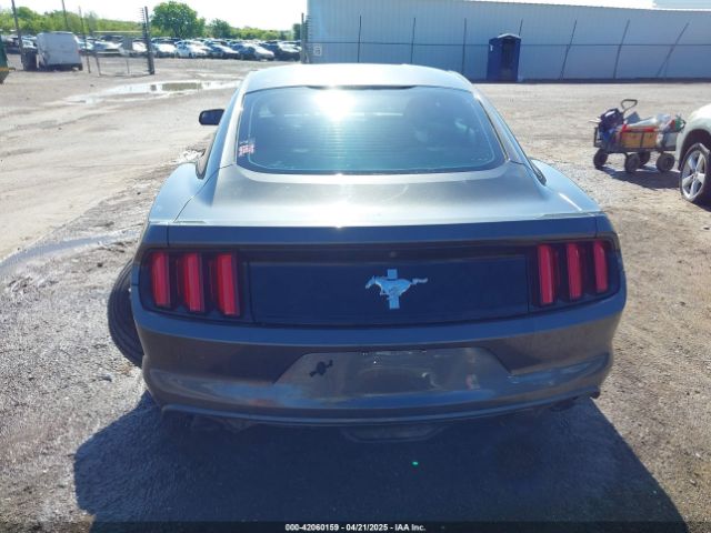 1FA6P8AM2G5290119 Ford Mustang V6
