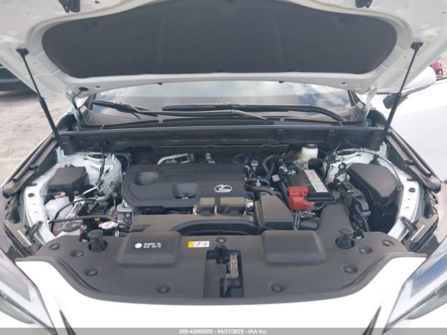 JTJADCAZ1S2022956 Lexus NX 250
