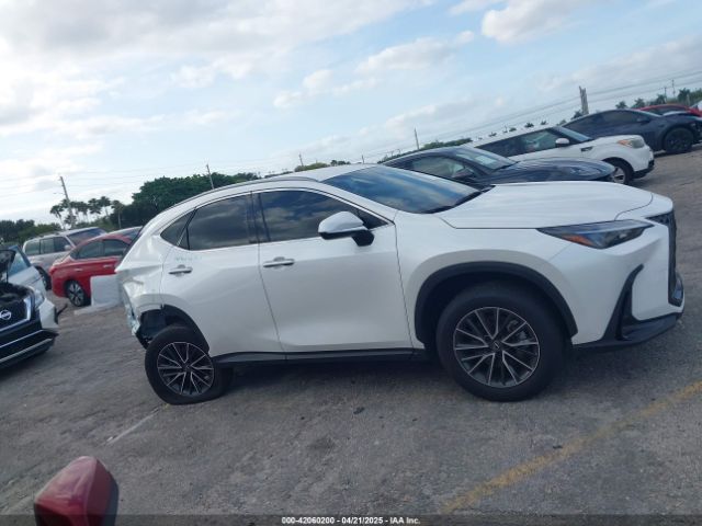 JTJADCAZ1S2022956 Lexus NX 250