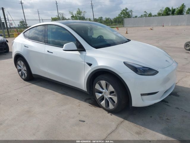 2024 TESLA MODEL Y 7SAYGDEE2RA248369
