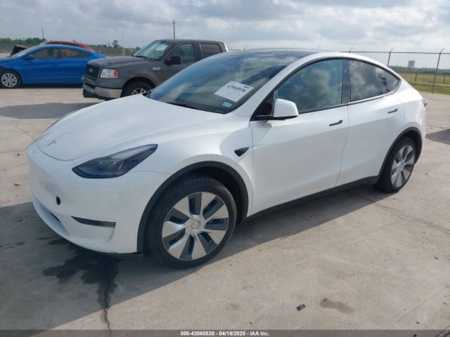 2024 TESLA MODEL Y 7SAYGDEE2RA248369 Photo 1