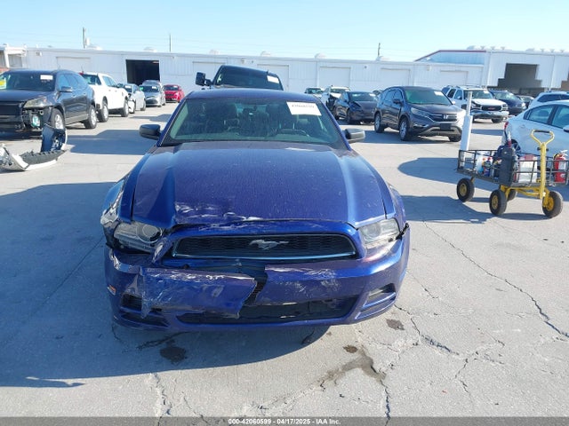 1ZVBP8AMXE5280246 Ford Mustang V6