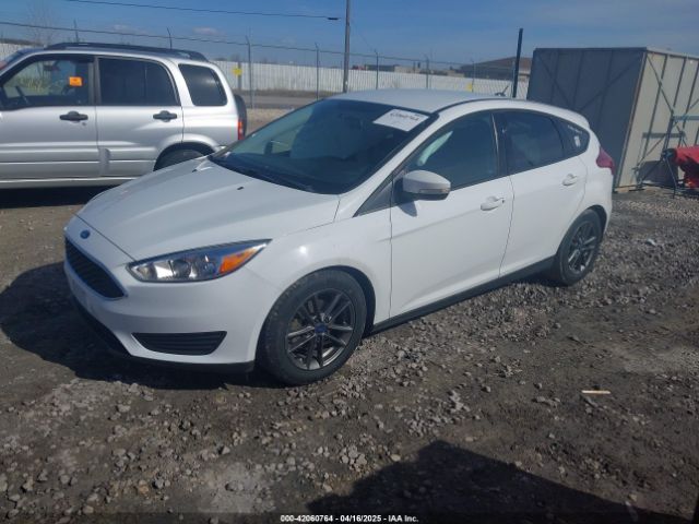 1FADP3K2XHL239407 Ford FOCUS SE