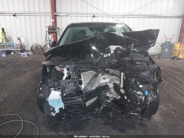 KNDNC5H39R6406040 KIA Carnival Mpv Ex