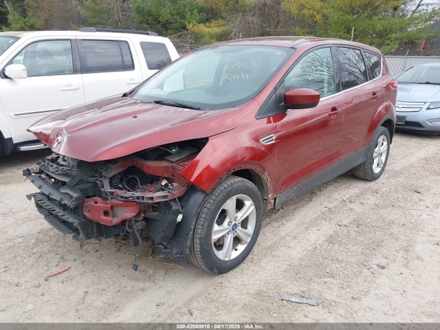 Ford ESCAPE SE 2014 1FMCU0GX4EUA93413 Image 2