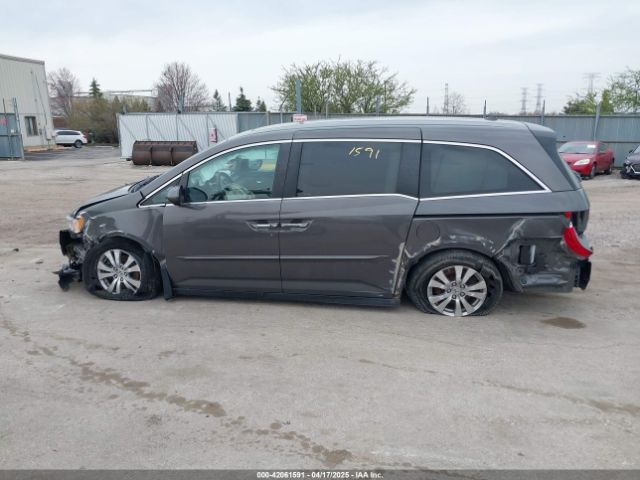 5FNRL5H62EB006346 Honda Odyssey Ex-l