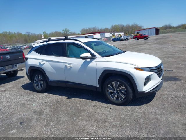 KM8JBCA15NU031537 Hyundai Tucson Hybrid Blue