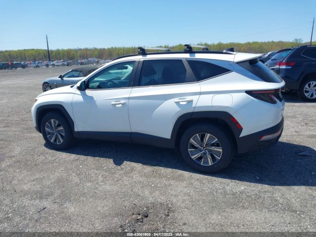 KM8JBCA15NU031537 Hyundai Tucson Hybrid Blue