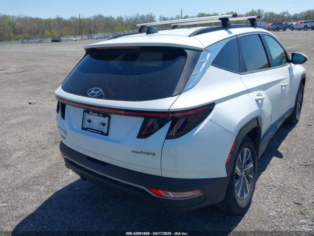 KM8JBCA15NU031537 Hyundai Tucson Hybrid Blue
