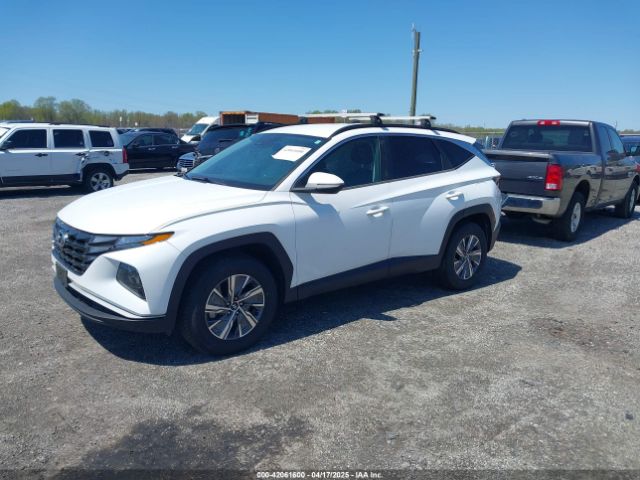 KM8JBCA15NU031537 Hyundai Tucson Hybrid Blue