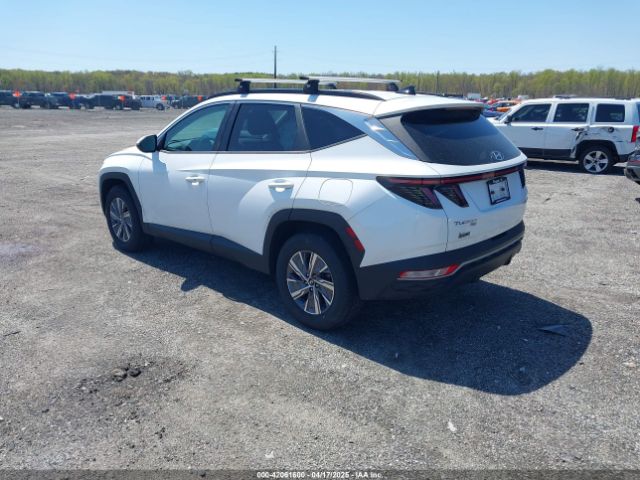KM8JBCA15NU031537 Hyundai Tucson Hybrid Blue
