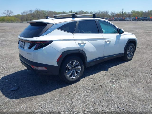 KM8JBCA15NU031537 Hyundai Tucson Hybrid Blue