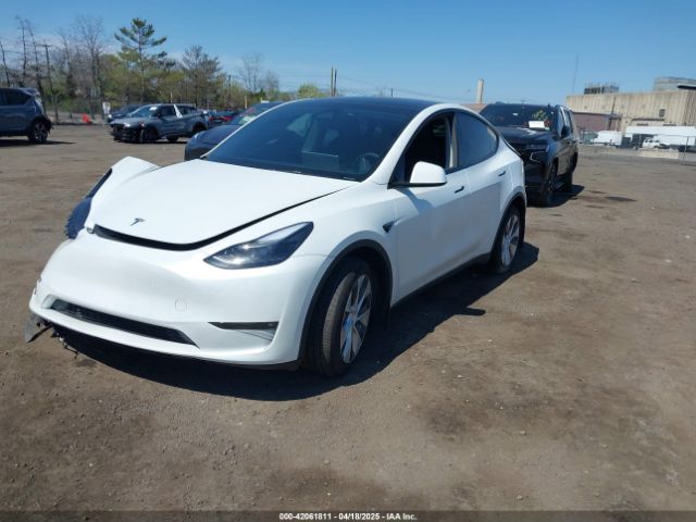 2023 TESLA MODEL Y 7SAYGAEE2PF839171 Photo 1