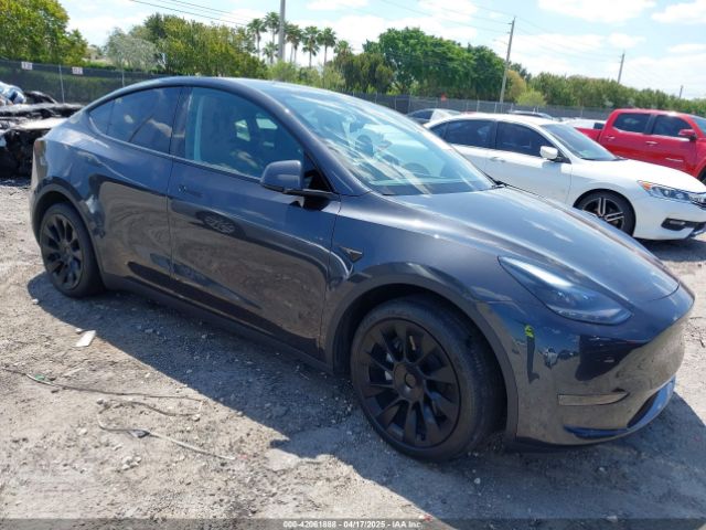 2024 TESLA MODEL Y 7SAYGDED3RF019063