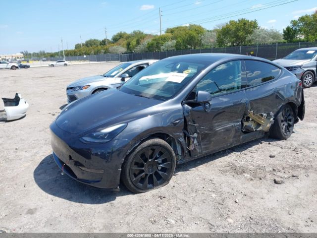 2024 TESLA MODEL Y 7SAYGDED3RF019063 Photo 1
