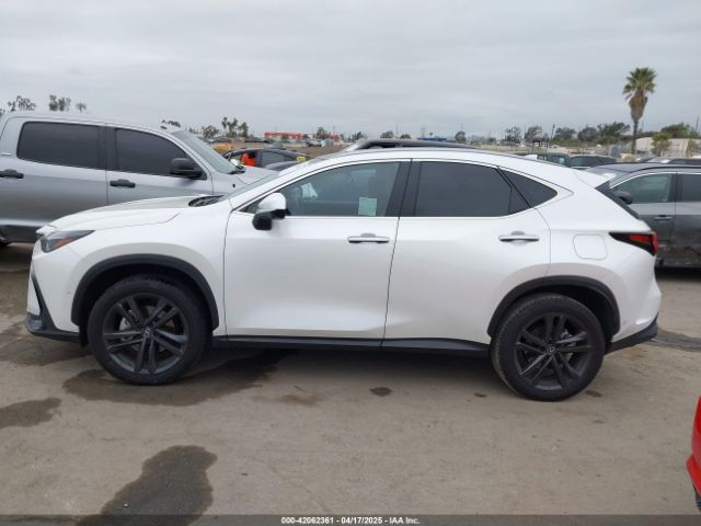 JTJHKCFZ1S2043125 Lexus Nx 450h+ Luxury