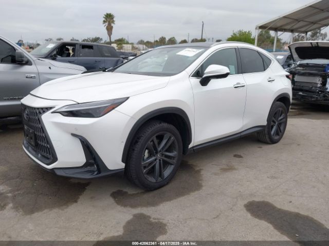 JTJHKCFZ1S2043125 Lexus Nx 450h+ Luxury