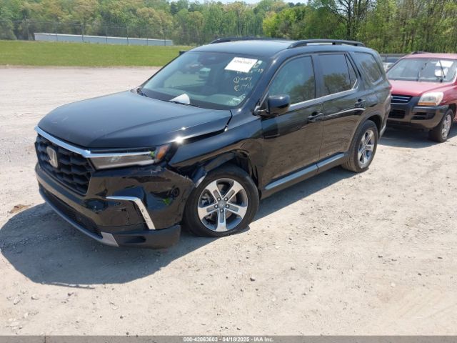 5FNYG2H43SB023987 Honda Pilot Ex-l