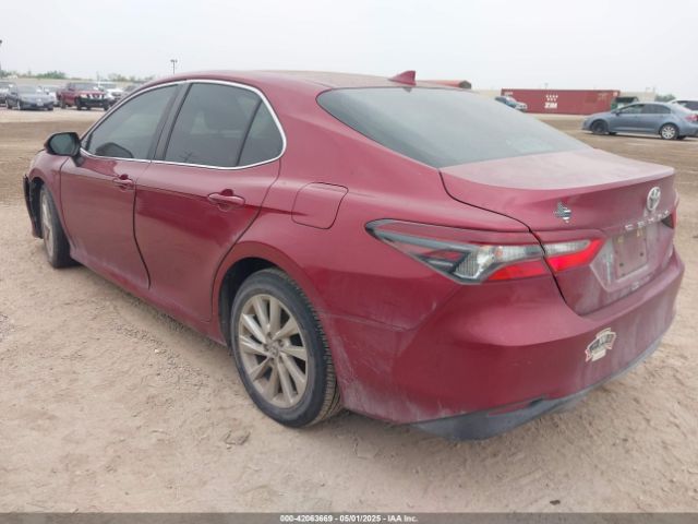 4T1C11AK9MU534253 Toyota CAMRY LE