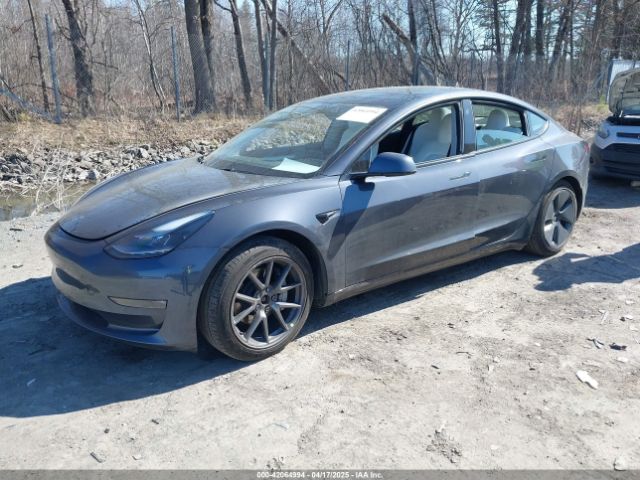 5YJ3E1EB7MF981272 Tesla 2021