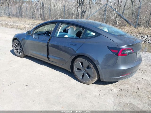 5YJ3E1EB7MF981272 Tesla 2021