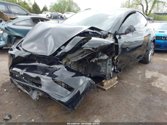 2023 TESLA MODEL Y 7SAYGDEE3PF805175 Photo 1