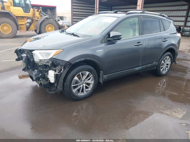 42065431 :رقم المزاد ، JTMRJREV2HD136275 vin ، 2017 Toyota Rav4 Hybrid Xle مزاد بيع