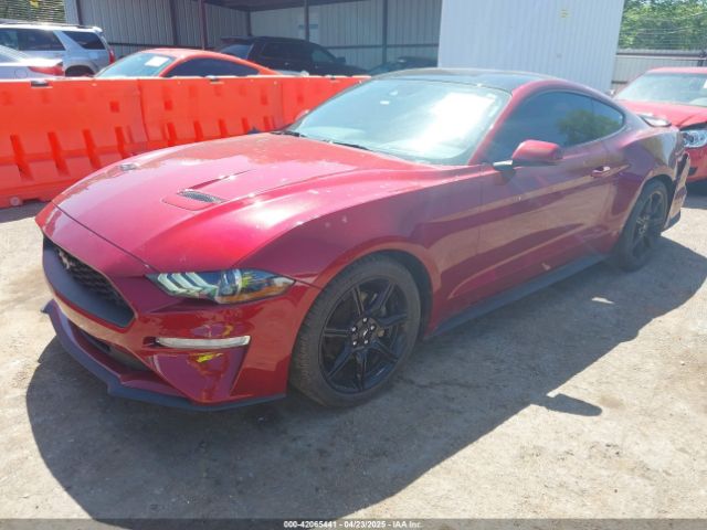 2019 FORD MUSTANG 1FA6P8TH0K5161224 Photo 1