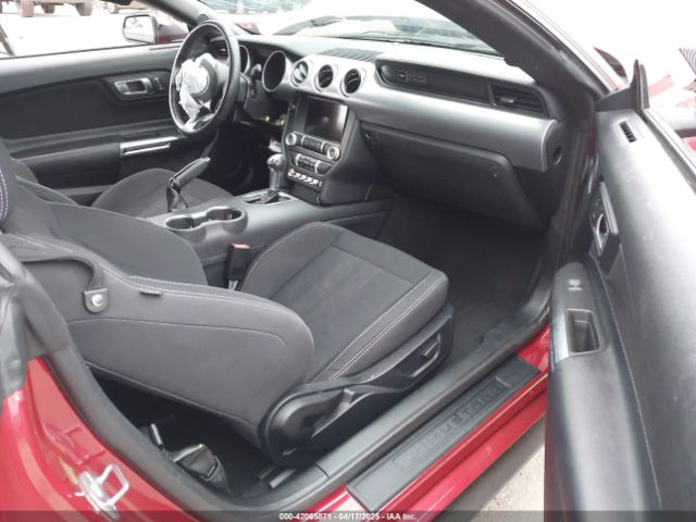 1FA6P8TH4L5189982 Ford Mustang Ecoboost Fastback