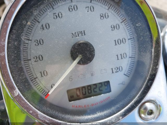 2009 HARLEY-DAVIDSON FXDL 1HD1GN4159K301749 Photo 6