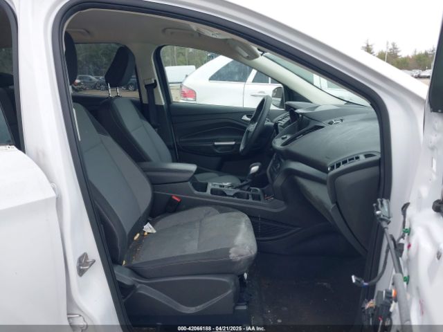 2019 FORD ESCAPE 1FMCU0GD4KUC35521 Photo 4
