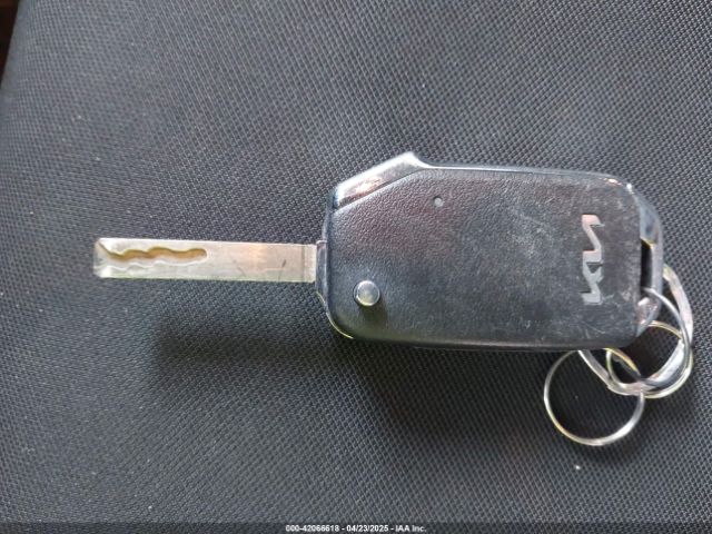 KNDPUCAG1P7116745 KIA Sportage Hybrid Lx