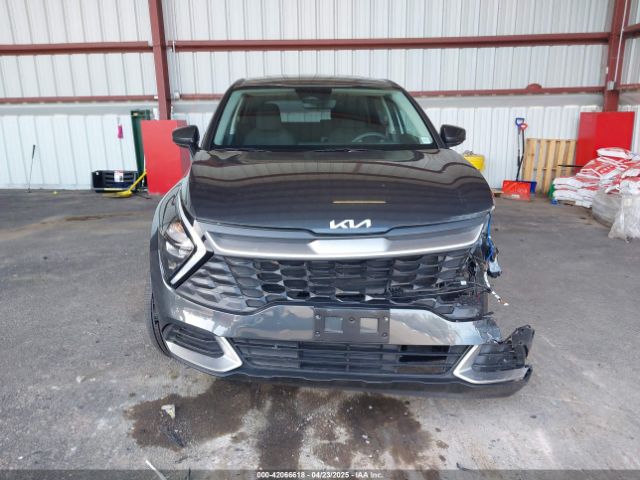 KNDPUCAG1P7116745 KIA Sportage Hybrid Lx