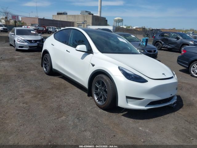 2025 TESLA MODEL Y 7SAYGAEE6SF238189